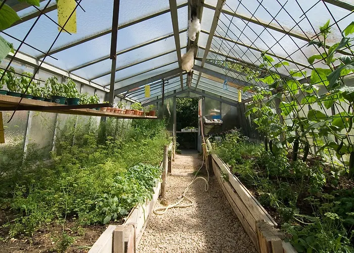 Hotel Biohotel-restaurant Rose 3*